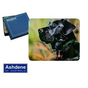 Podkładki korkowe Ashdene małe 6szt, Black Labrador